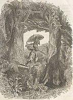 El meu viatge va començar, Robinson Crusoe (1840)