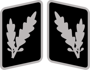 Ficheiro:SS-Oberführer Collar Rank.svg