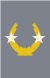 Brigade General