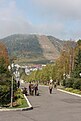 Bild eines Berges, an dem ein breiter Streifen unbewaldet ist. Neben der breiten Waldschneise ist recht versteckt eine Schanze zu erahnen.