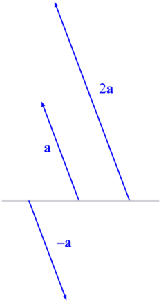 The scalar multiplications 2a and −a of a vector a