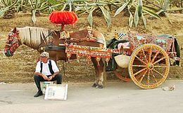 A Traditional Sicilian Cart from Agrigento, Sicily, 2003. Note that the cart appears slightly raised where it is attached to the horse. This is because the cart was traditionally drawn by donkeys, which are of a slightly lower stature to that of a horse (compare with the top photo from 1890 which features a donkey) Sicilian Cart Agrigento.jpg