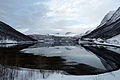 Tømmeråsfjorden sett frå fjordbotnen. Foto: TorbjørnS (2013)