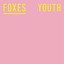Miniatura para Youth (canción de Foxes)
