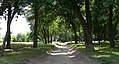 A path in the park