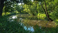 61. Platz: NoRud Neu! mit Impressionen aus dem Naturschutzgebiet „Kellenberger Kamp“ in Jülich