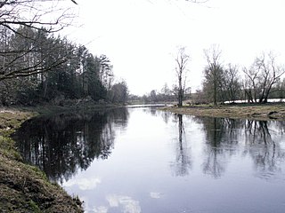 The river Nemunelis at Muoriskiai village