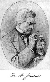 portrait of a man examining a flower