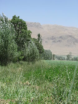 Landscape in Boldaji
