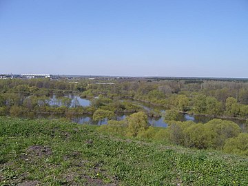 Saamvloei van Desna en Bolwa by Brjansk, Rusland