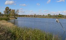 Lake with dead trees in upper end; nest box on pole in foreground