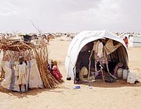 Une cabane dans un camps de déplacés au Darfour