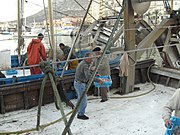 Pescadores en el puerto de Denia