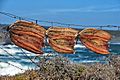 Dried snoek at Grotto Bay