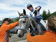 Un homme et une femme habillés en orange tiennent un cheval gris à l'arrêt; la cavalière du cheval étant en selle et l'arrosant avec une bouteille d'eau.