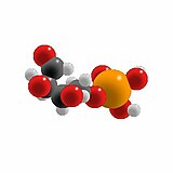 Image illustrative de l’article Érythrose-4-phosphate