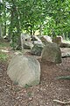 Großsteingrab Steinkimmen 2
