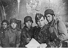 German paratroopers from the 3rd FJR "Green Devils" taking part in the battles for Monte Cassino, March 1944 Grupa niemieckich spadochroniarzy na froncie wloskim (2-2131).jpg