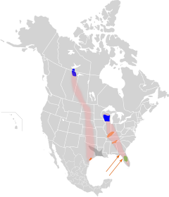 Natura arealo; blue : reproduktado; oranĝe : travintrado; verde : tut-jara restado; grize : okaze tut-jara restado.