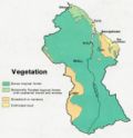 Miniatura para Vegetação da Guiana