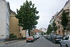 Winckelmannstraße nordwärts gesehen.