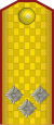 KoS-Army-Infantry-Colonel.svg