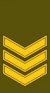 LT-Army-OR6a.gif