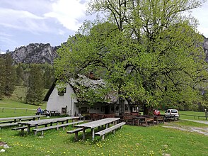 Laussabaueralm 2019