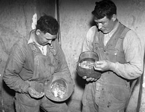 Byggnadsarbetarna Westerberg och Karlsson visar silvermynt från skatten, 15 oktober 1937.