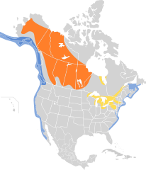 Mapa występowania