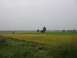 Rural landscape near Peravurani