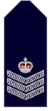Nsw-police-force-Senior-sergeant.png