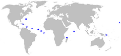 Rhynchactis rangemap.png