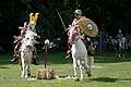 Roman cavalry reenactment in Carnuntum during "Römerfest"