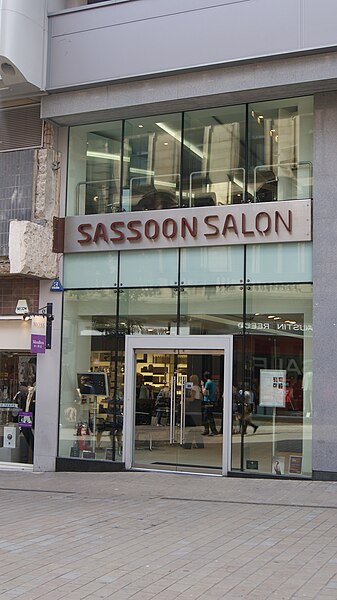 File:Sassoon Salon, Albion Street, Leeds (4th July 2011) 001.JPG