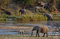 Duimnaelskets vir weergawe vanaf 13:35, 15 Mei 2017