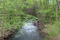 Ревущий ручей Саут-Бранч ниже по течению от государственного леса Вайзер.JPG