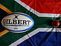 My groot drie belangstellings op een prent: Suid-Afrika, rugby en krieket