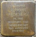 Stolperstein für Hermann Feidelberg (Humboldtstr. 42)
