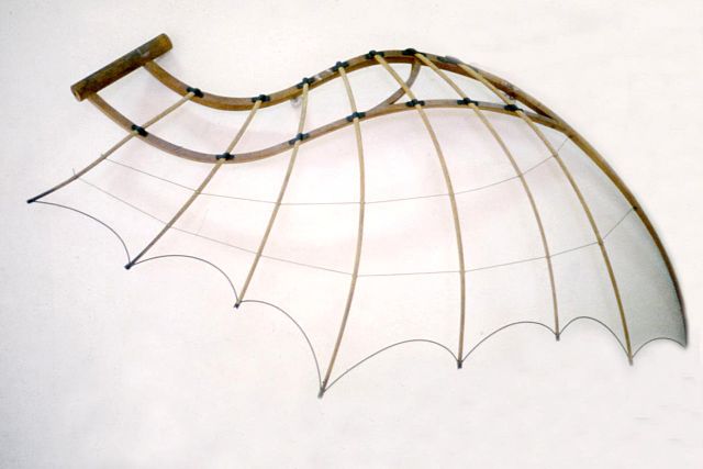 Photo d'une structure en bois et toile en forme d'aile de chauve-souris.