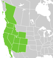 Symphyotrichum frondosum distribution map with the following states and provinces shaded in green: Canada — British Columbia; Mexico — Baja California; US — Arizona, California, Colorado, Idaho, Nevada, New Mexico, Oregon, Utah, Washington, and Wyoming