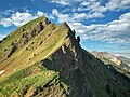 Blick von der Ällgäuwlicka nach Osten zum Ällgäuwhoren und Tannhorn. Im Hintergrund ist das Brienzer Rothorn als höchste Erhebung des Brienzergrats sichtbar.