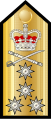 イギリス海軍大将肩章