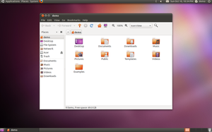 Screenshot of Ubuntu version 10.10