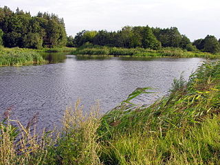Устье реки Вирвичя. Foto:Algirdas at lt.wikipedia