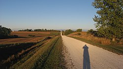 Countryside north of Mediapolis