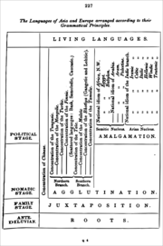 The languages of Asia and Europe arranged according to their grammatical principles in Max Muller's Letter to Chevalier Bunsen on the classification of the Turanian languages, published in 1854 Azsia es Europa nyelvei nyelvtani alapeveik szerint elrendezve Friedrich Max Muller 1854-ben kiadott Letter to Chevalier Bunsen on the classification of the Turanian languages cimu munkajaban.png