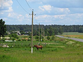 Рудня Астравітая