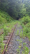 岩泉線時代の押角トンネル（岩泉線宇津野駅から、2013年）