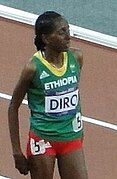 2012 Olympic steeplechase start-Diro